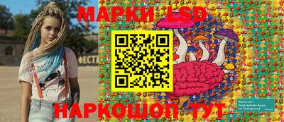 стаф Будённовск