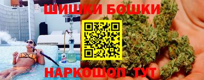 стаф Будённовск