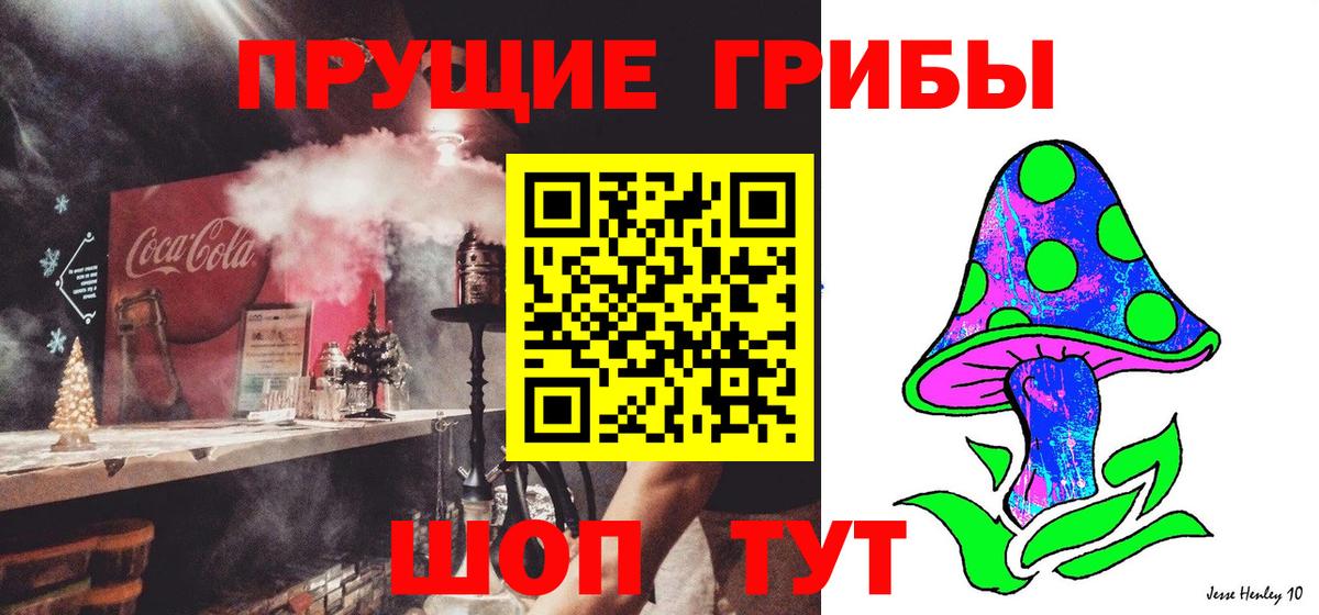 Хасавюрт  Псилоцибиновые грибы мицелий  Вход с VPN 